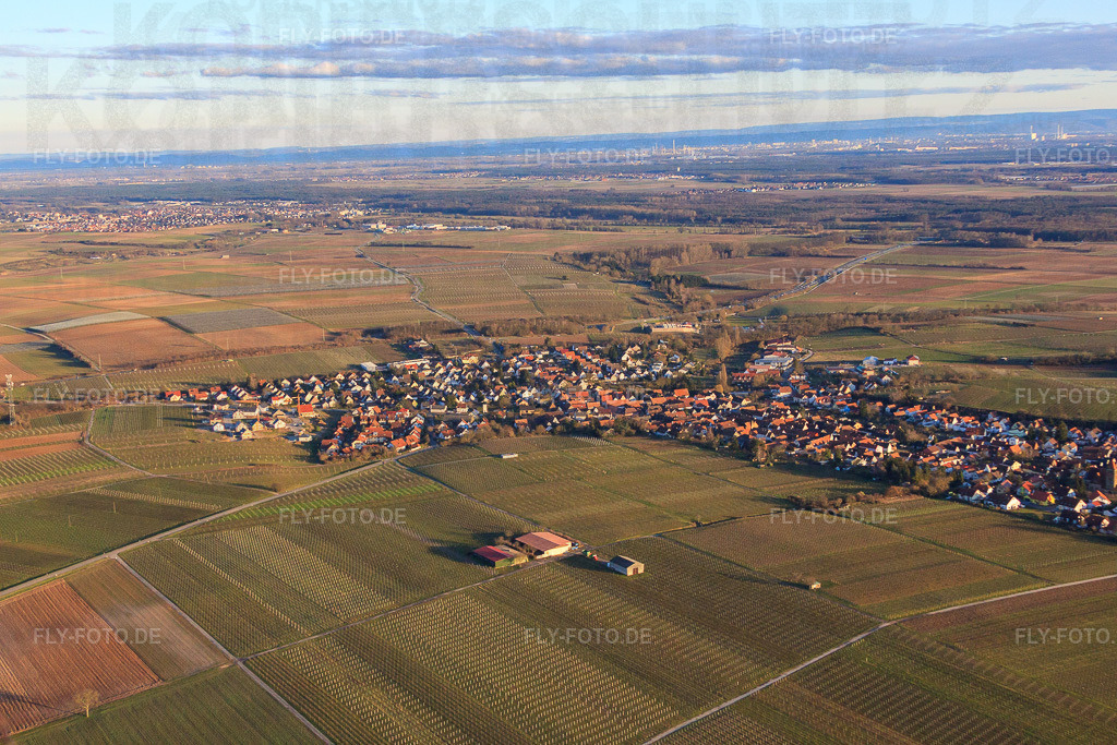 Dorfansicht im Winter aus Nordwesten | Luftbild: Dorfansicht im Winter aus Nordwesten in Insheim im Bundesland Rheinland-Pfalz in Deutschland. Foto: IMG_62224.jpg vom 23.02.2014 durch Werner Riehm/FLY-FOTO.de - Realisiert mit Pictrs.com
