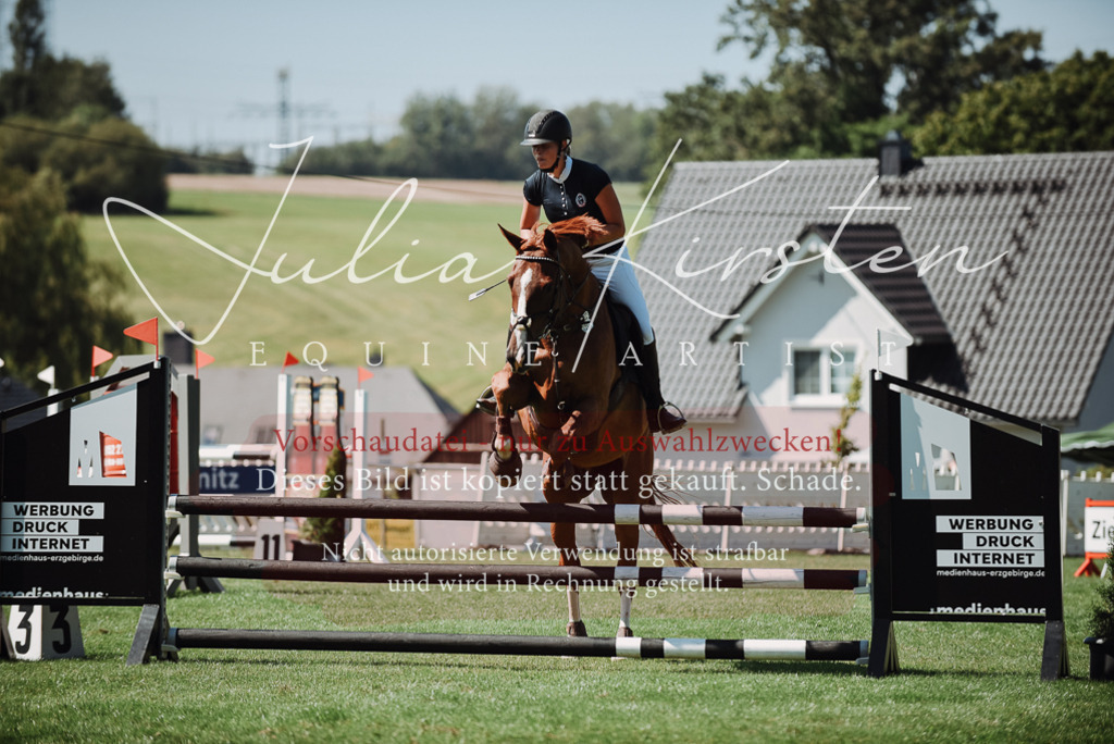DSC_3093 | Pferde- und Turnierfotografie in Westsachsen. Pferdeportraits, Auftragszeichnungen und intuitive Kunst.