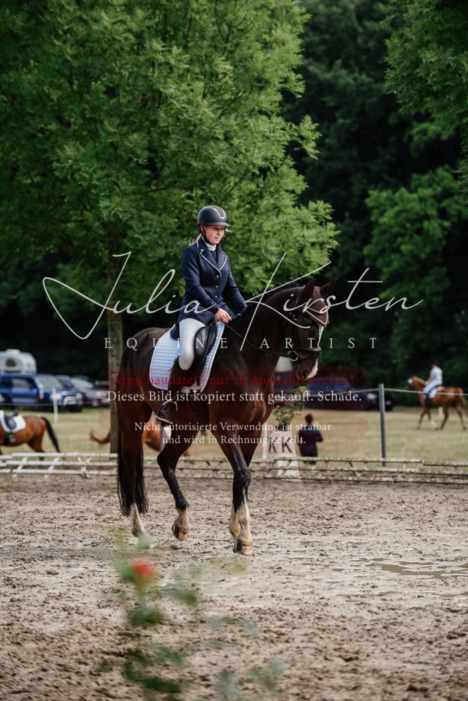 DSC_0070 | Pferde- und Turnierfotografie in Westsachsen. Pferdeportraits, Auftragszeichnungen und intuitive Kunst.