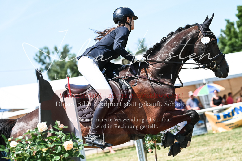 DSC_0444 | Pferde- und Turnierfotografie in Westsachsen. Pferdeportraits, Auftragszeichnungen und intuitive Kunst.