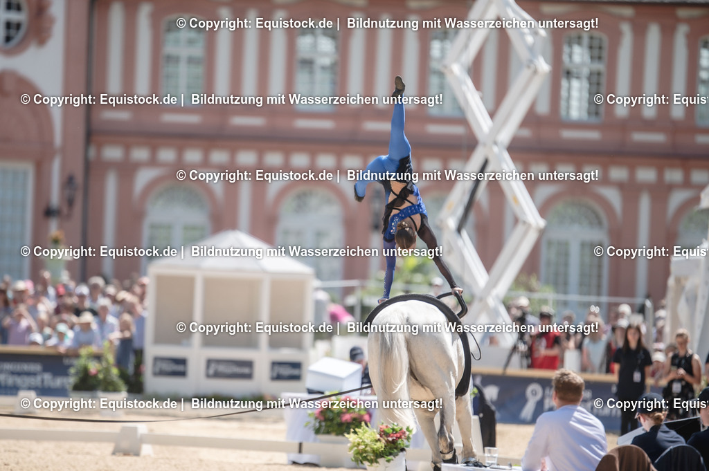 20230528_Voltigieren_NASPA_0038 | equistock