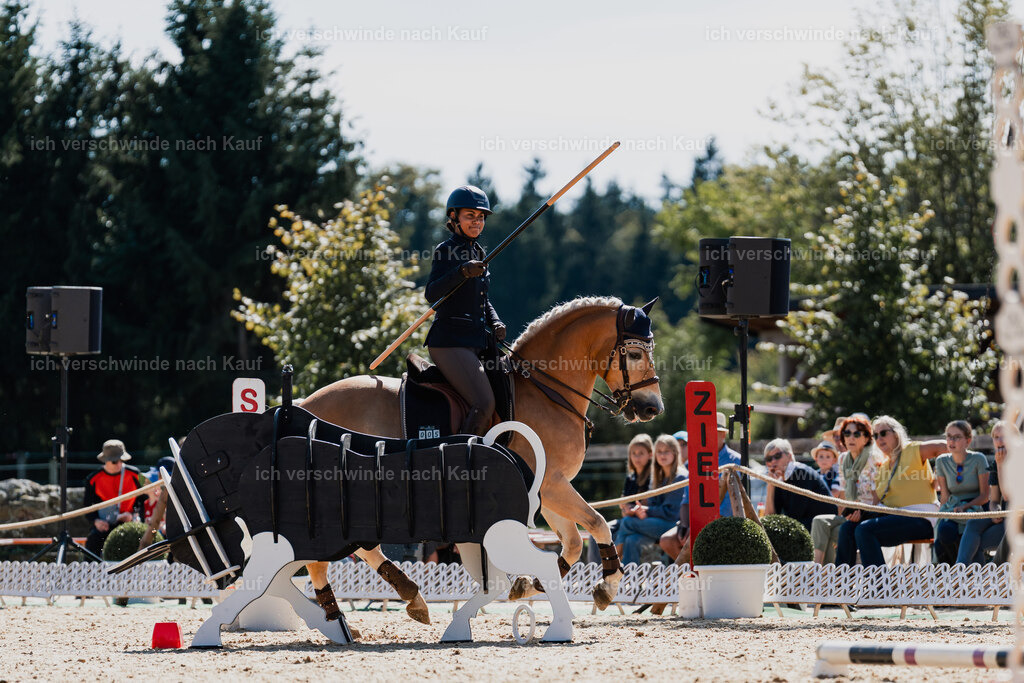 Tanesha5FHC2025-08815 | working equitationturnier fotograf videograf stoibphotography marixx film working equitation deutschland reitsport turnierfotografie eventfotografie equestrian events