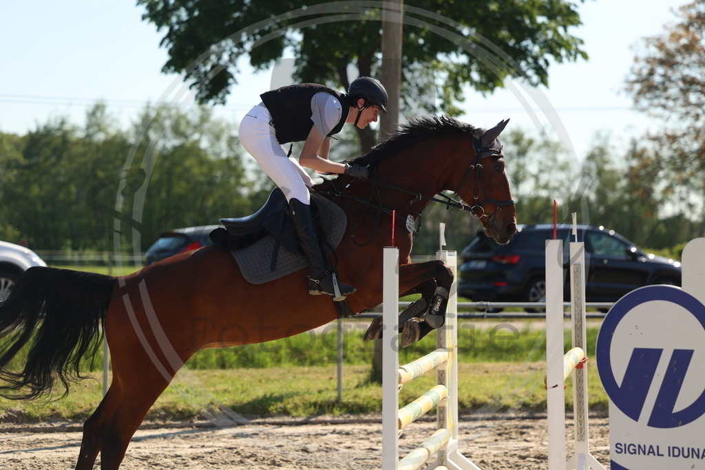 994A6161 | sabrinanicolaifotografie - Realisiert mit Pictrs.com