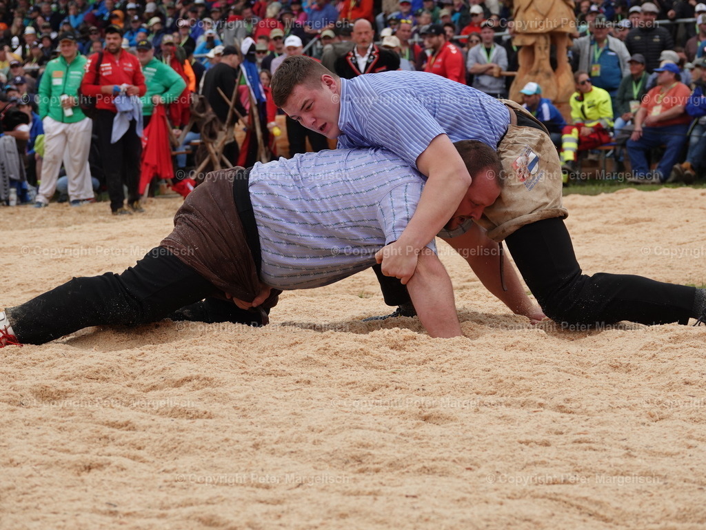 DSC08070 | Schwingen - Realisiert mit Pictrs.com