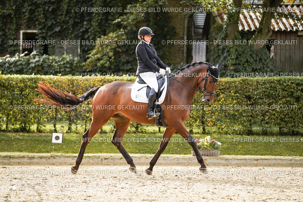 DSC09120 | Pferdegrafie