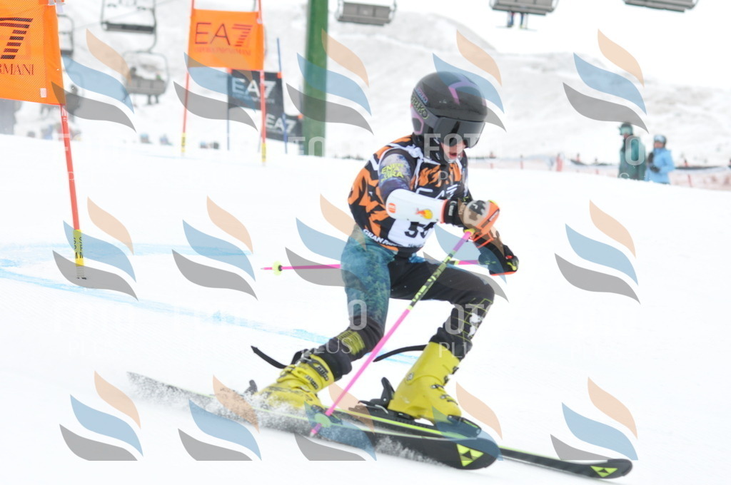 DSC_8833 | holidayphoto