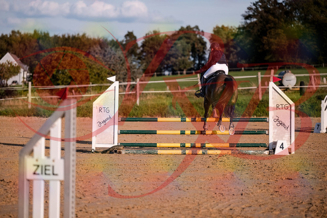 2026_10_03_Siefer-Hof_171906_Z81_17168656 | Professionelle Reitsport-, Turnier- und Eventfotografie von Robert Broda. Galerien mit ausgewählten und bearbeiteten Bildern direkt online ansehen und bestellen.