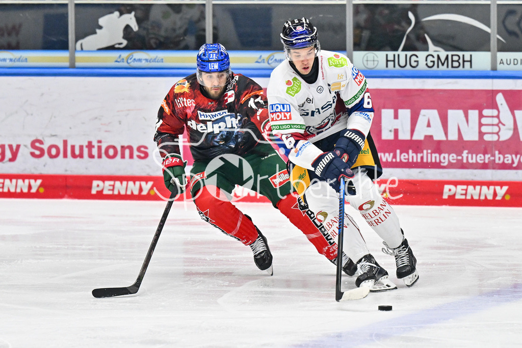 Augsburger Panther - Eisbären Berlin | Im Duell Mick KOEHLER (Augsburger Panther #11) und Kai WISSMANN (Eisbaeren Berlin #6) / Zweikampf / DEL: Augsburger Panther - Eisbaeren Berlin, Curt Frenzel Stadion am 31.10.2024