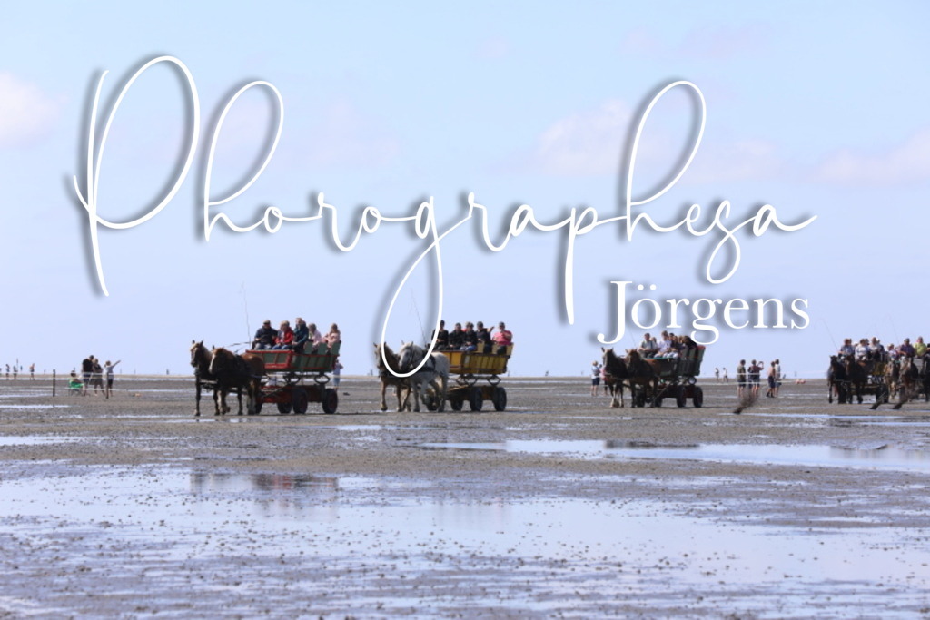 IMG_9535 | photographesa-joergens - Realisiert mit Pictrs.com