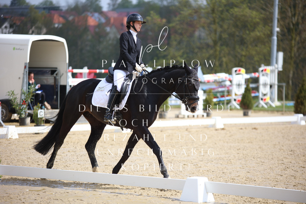 IMGT3718 | pl-fotografie