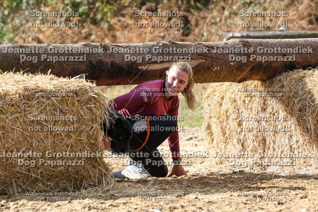 Dog Paparazzi - Strongdog 10-25-5082 | Dog Paparazzi Jeanette Grottendiek Fotografie & Videografie - Realisiert mit Pictrs.com