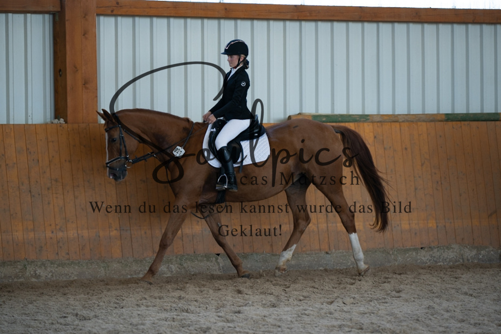 A7V02066 | Turnier/Reitfotograf