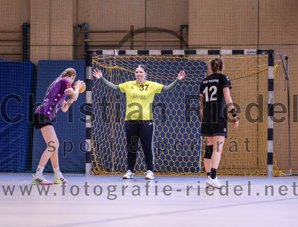 2024-12-14_085_SpVgg_Altenerding_gegen_SVA_Palzing | Erding, Deutschland, 14.12.2024:Handball, Bezirksoberliga Frauen Altbayern 2024 / 2024, 9. Spieltag, SpVgg Altenerding gegen SVA Palzing, Endergebnis: 20:30Greta Felbinger (SpVgg Altenerding, #4), Torfrau Julia Zierer (SVA Palzing, #37), Sandra Redl (SVA Palzing, #12)Foto: Christian Riedel / fotografie-riedel.net