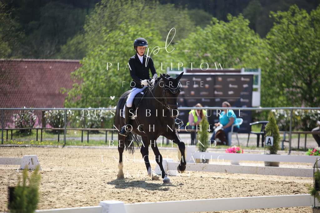 IMGT2664 | pl-fotografie