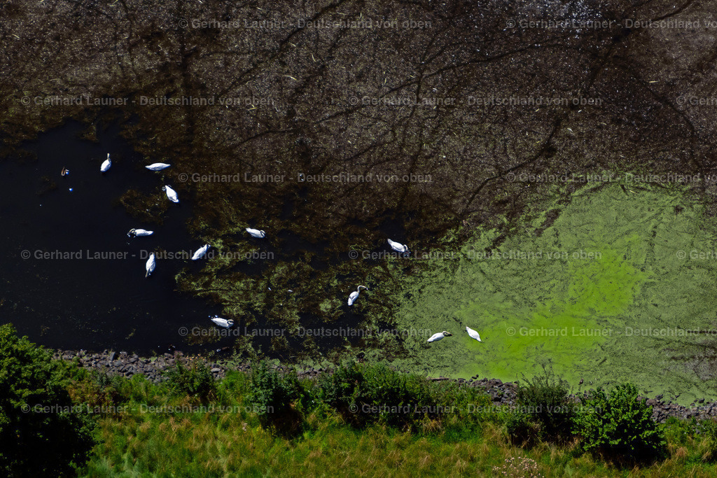 4036113 | GROß GLEIDINGEN 31.07.2020 Klärteiche der SZ-AG im Steterburgergraben in Groß Gleidingen im Bundesland Niedersachsen, Deutschland. Weiterführende Informationen bei: Salzgitter Aktiengesellschaft. // Sewage ponds of the SZ-AG in the Steterburgergraben in Gross Gleidingen in the state Lower Saxony, Germany. Further information at: Salzgitter Aktiengesellschaft. Foto: Gerhard Launer