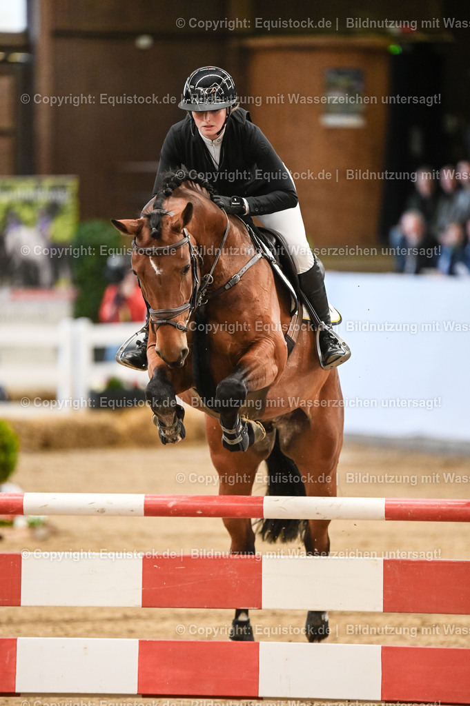 20260307_Hengstvorstellung-Marbach_0048 | equistock
