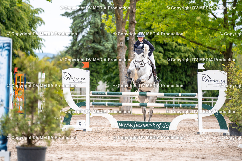 Eppelheim Tag 2-015 | dv-media-shop - Realisiert mit Pictrs.com