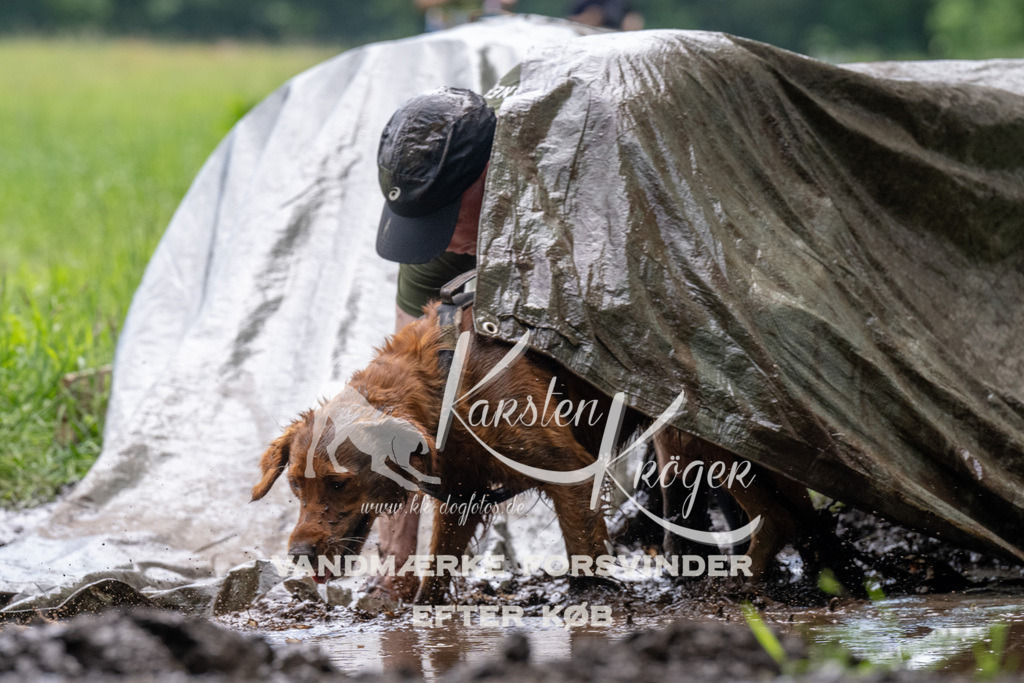 1115_ZZ92174 | kk-dogfotos
