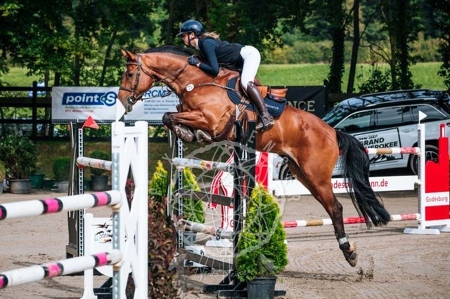 2B4A1263 | pixelfaenger - Realisiert mit Pictrs.com