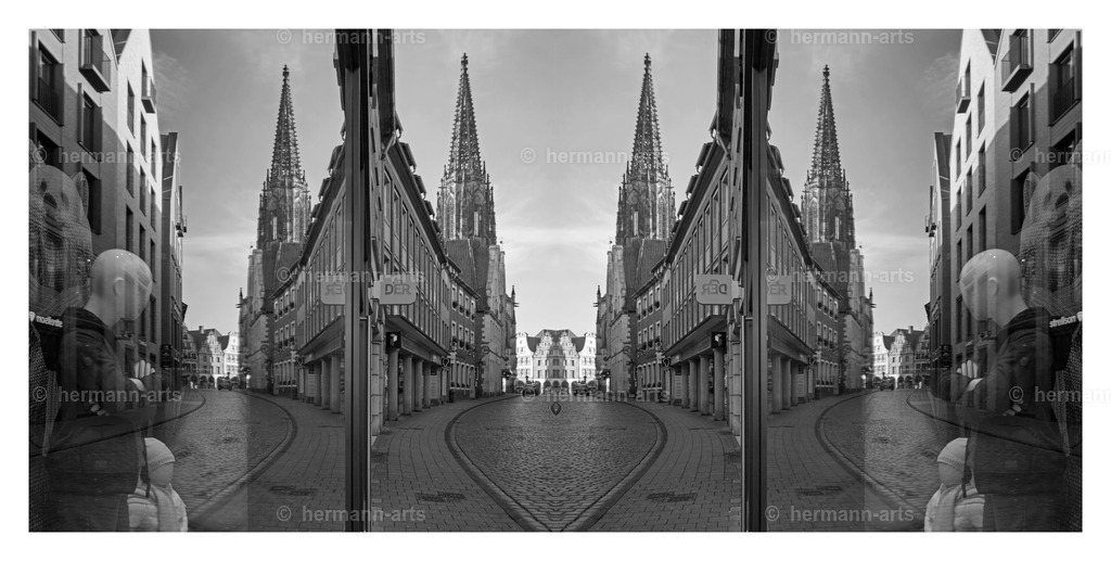 Hermann-Arts_Spiegelbilder_016 | Photo Foto Kunst Art schwarzweiss Bilder Rheine Münster Berlin Blumen 