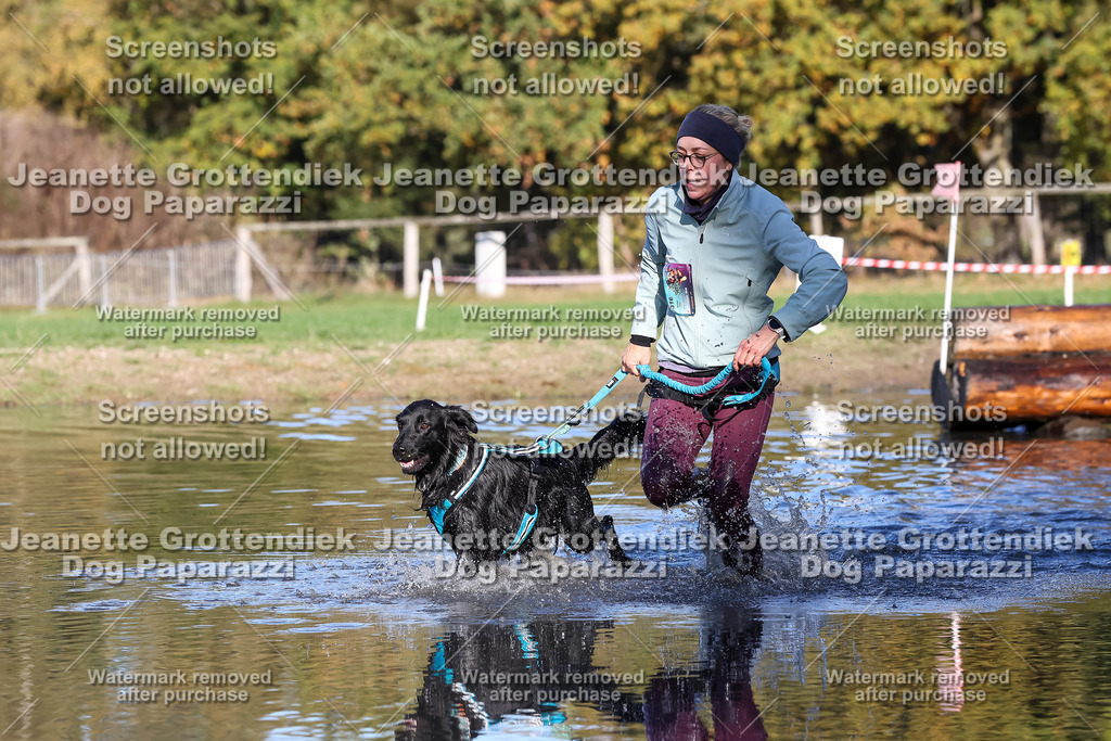 Dog Paparazzi - Strongdog 10-25-8713 | Dog Paparazzi Jeanette Grottendiek Fotografie & Videografie - Realisiert mit Pictrs.com
