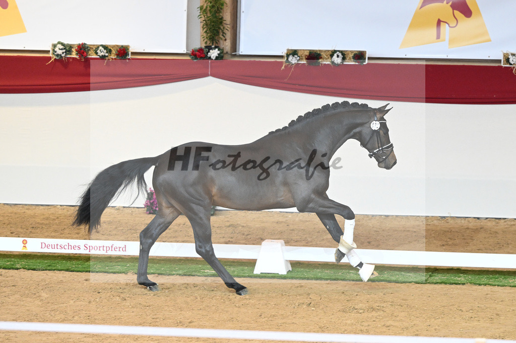 Kat-Nr. 72 Vaderland_Durrer_1230533 | hf-fotografie - Realisiert mit Pictrs.com