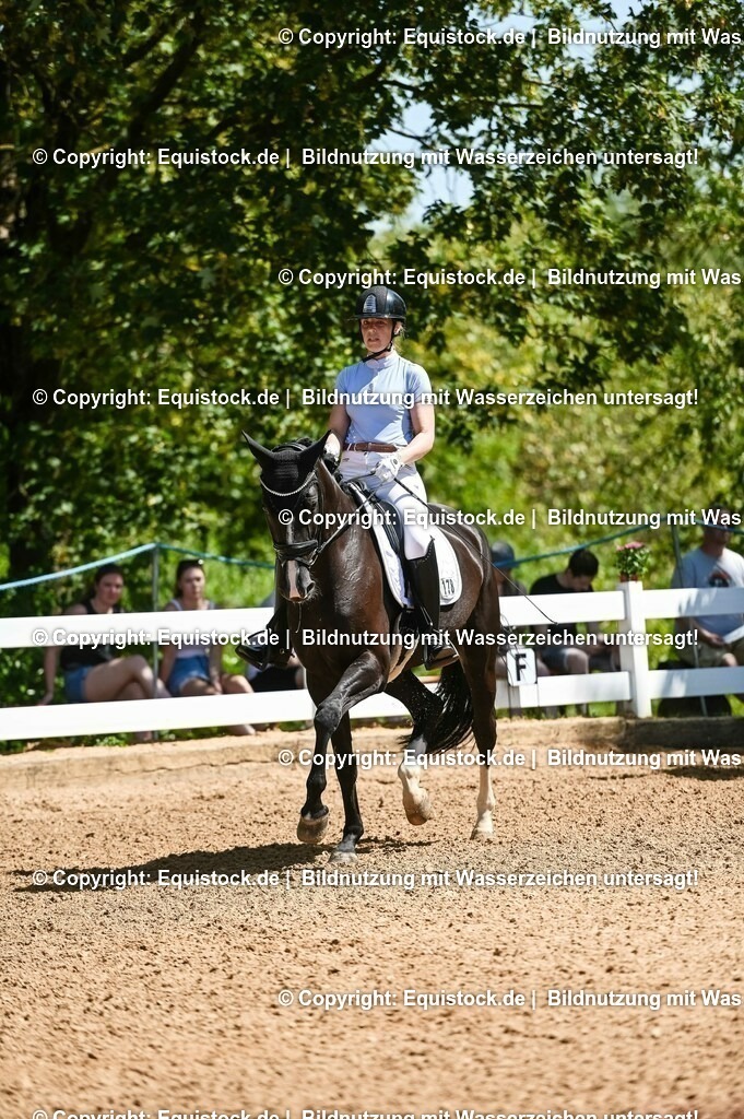 20230715_02_Dressurreiterprüfung Kl.L_0023 | equistock