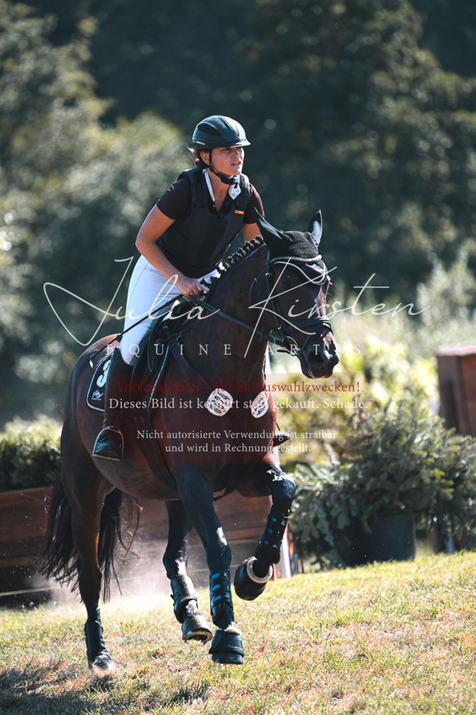 DSC_8235 | Pferde- und Turnierfotografie in Westsachsen. Pferdeportraits, Auftragszeichnungen und intuitive Kunst.