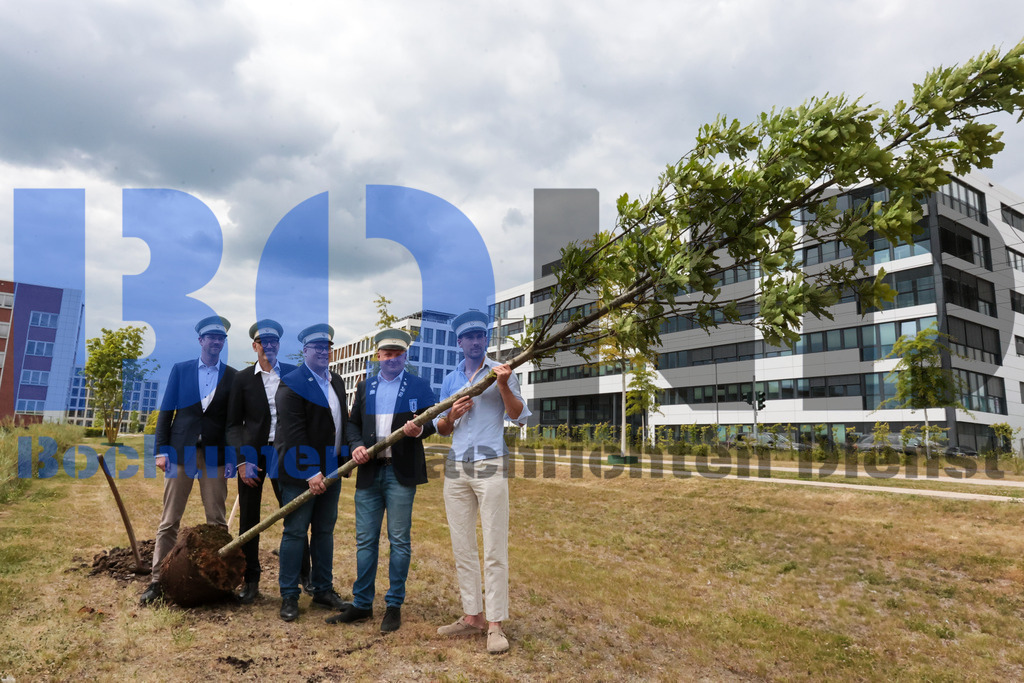 Eicheingrabung | Eicheingrabung - Realisiert mit Pictrs.com