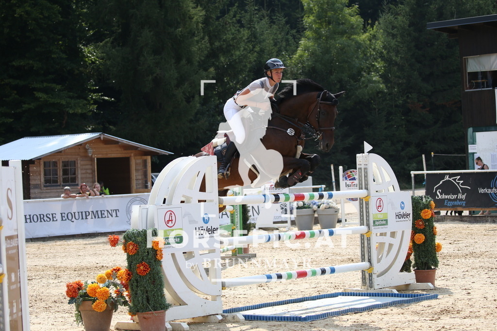 DL2Q4705 | Willkommen bei Brunnmayr - Design & Fotografie – Ihrem Spezialisten für Reitturniere und Pferdeveranstaltungen in Oberösterreich, Salzburg und Bayern! Seit über 17 Jahren sind wir leidenschaftlich dabei.