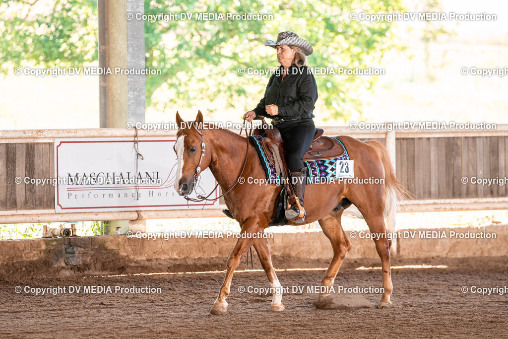 Erbach Tag 3-295 | dv-media-shop - Realisiert mit Pictrs.com