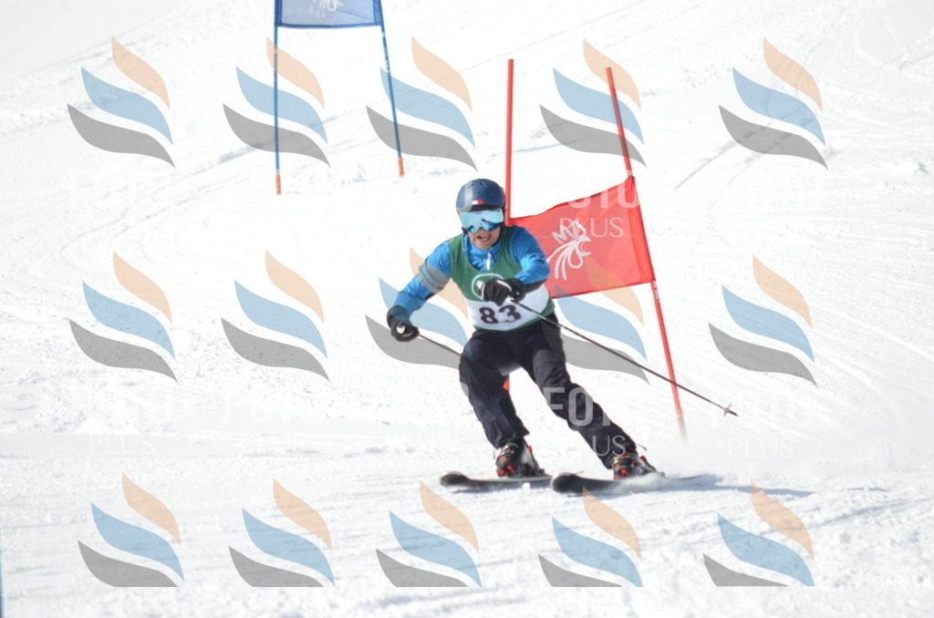 D9029 | holidayphoto