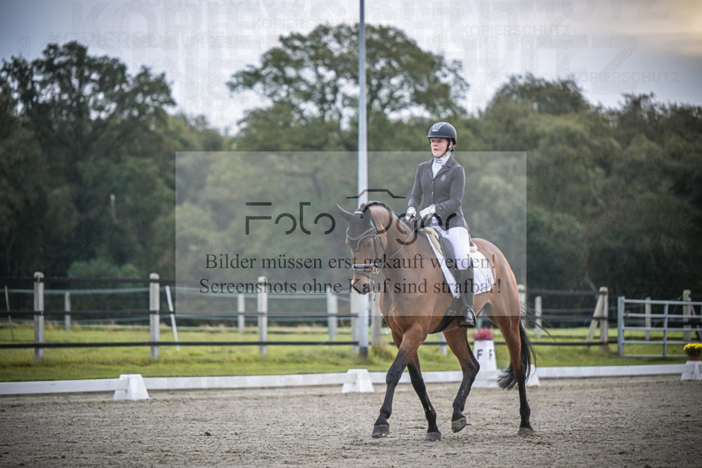 DOS_0755 | Entdecke hochwertige Reitturnierfotos von Foto Oger. Professionell, emotional und authentisch – jetzt Lieblingsmomente im Shop bestellen.Deutschlandweite Turnierfotografie. - Realisiert mit Pictrs.com