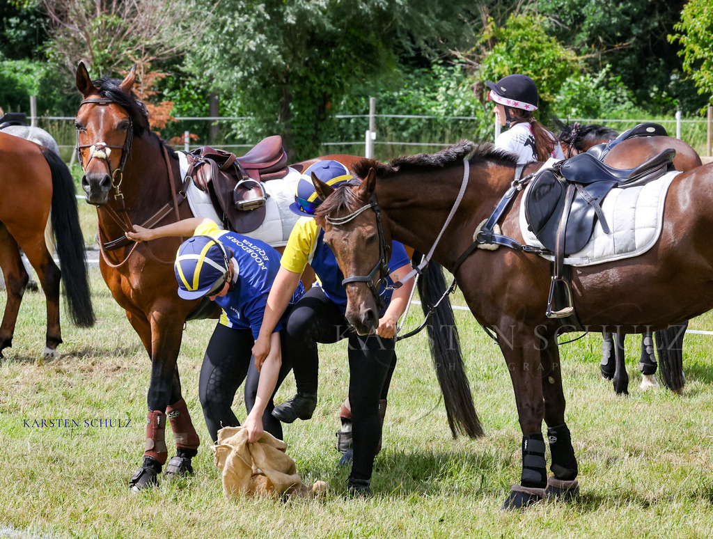 1B3A4636 | Reitsport Reiten