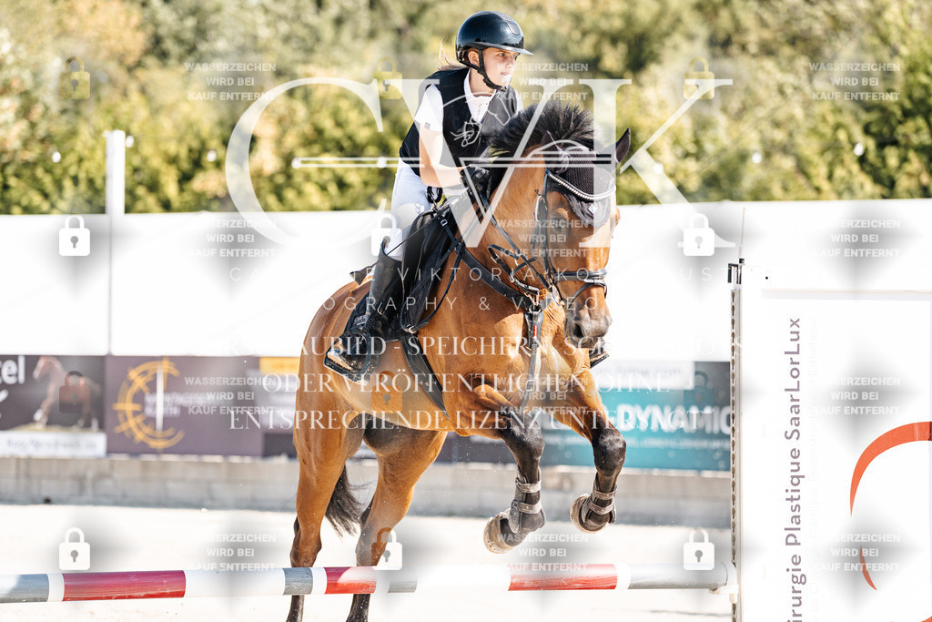 CK905140 | Turnierfotografie Pferdefotografie Trier Rheinland-Pfalz Pferdesport Reitsport Tierfotografie Sportfotografie Pferdevideo Pferdevideografie Equestrianvideography equestrianphotography  - Realisiert mit Pictrs.com