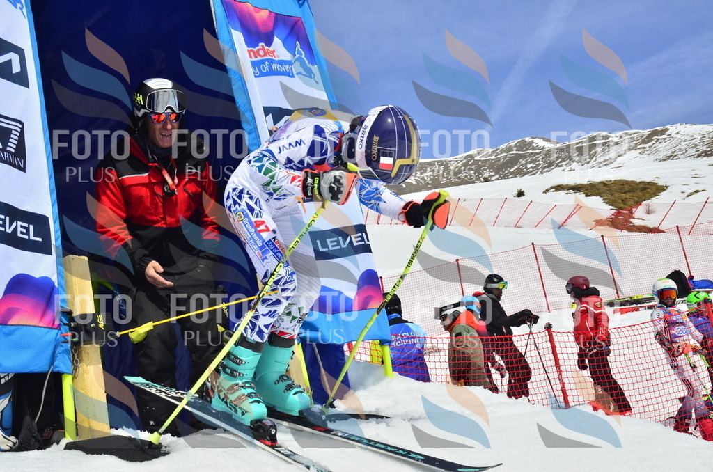 _ELE2017 | holidayphoto