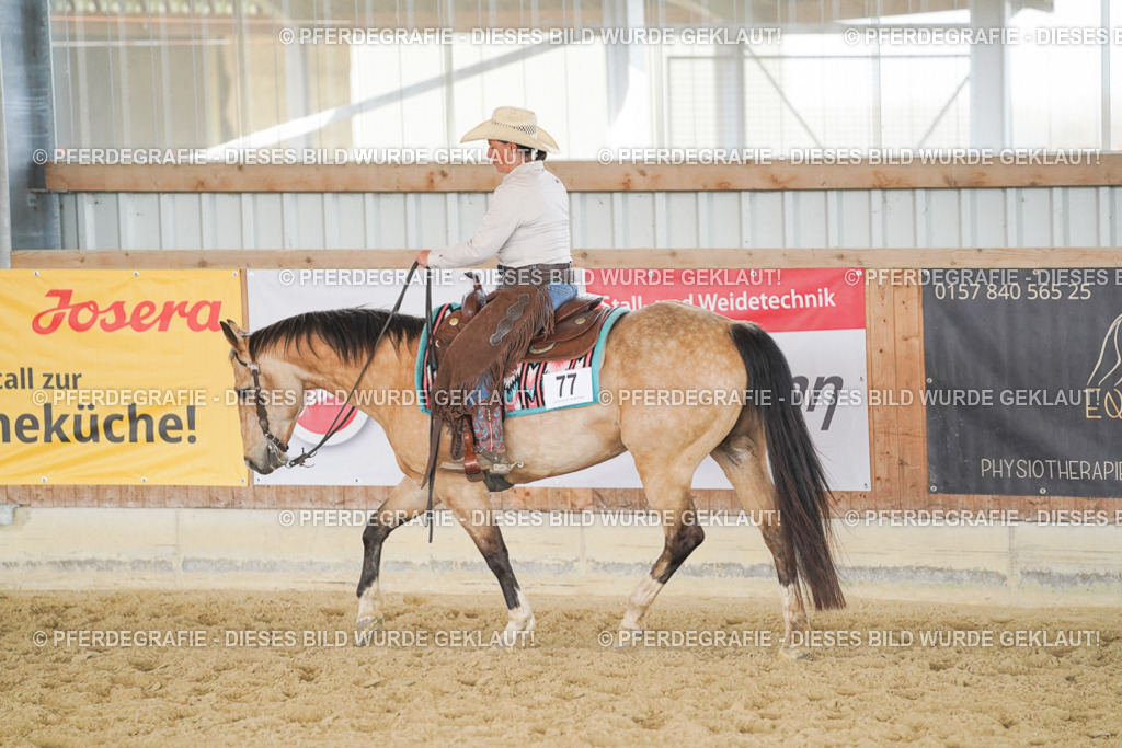 DSC01799 | Pferdegrafie