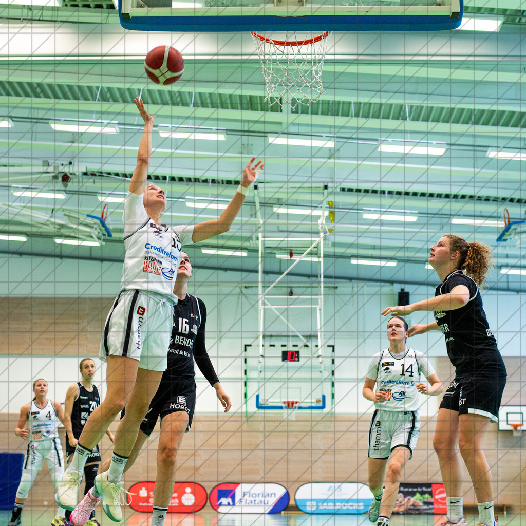 2. DBBL Nord 24/25 | 06.10.2024 | BBC OS vs. Bender Baskets Grünberg | 2. DBBL Nord 24/25 | 06.10.2024 | BBC OS vs. Bender Baskets Grünberg - - - - - CREDIT, www.bullenfotos.de, Martin König, Hörner Weg 40, D-49078 Osnabrück, +4917663732967, Nutzung und Weitergabe nur zu den vereinbarten Zwecken. Presseanfragen an Urheber. Alle Rechte beim Urheber. - - - - - - Realisiert mit Pictrs.com