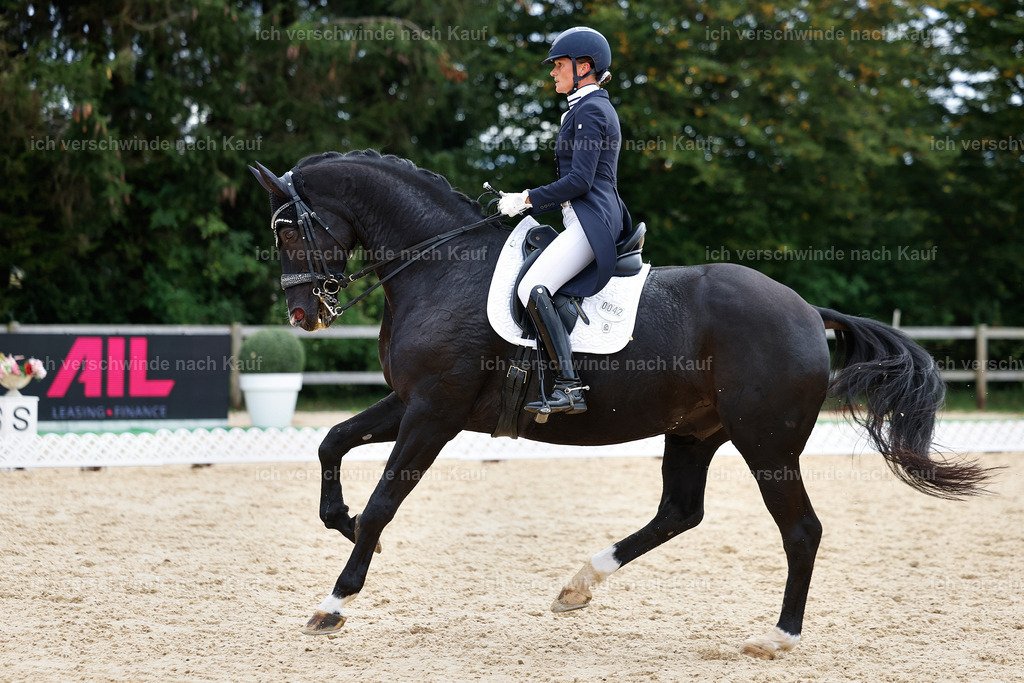 11-042-Dressur S___-StoibPH-1191 | working equitationturnier fotograf videograf stoibphotography marixx film working equitation deutschland reitsport turnierfotografie eventfotografie equestrian events