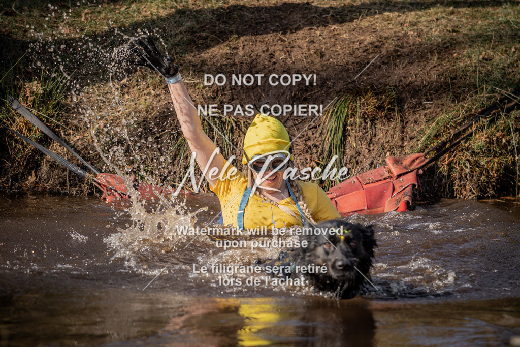 nelerasche_FS1330-1400_176 | nelerasche