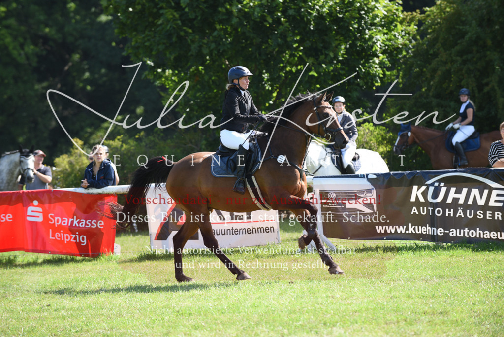 DSC_9110 | Pferde- und Turnierfotografie in Westsachsen. Pferdeportraits, Auftragszeichnungen und intuitive Kunst.