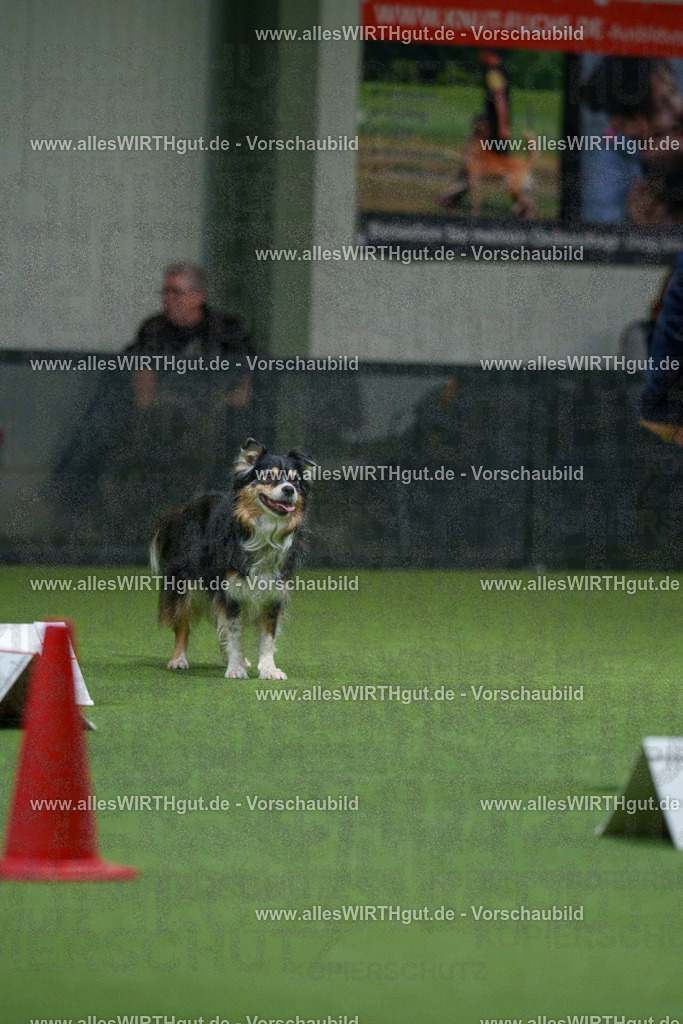 7R504282 | Professionelle Tierfotografie in Mönchengladbach von Daniel Wirth (allesWIRTHgut). Liebevolle & natürliche Bilder von Hunden & Katzen für unvergessliche Erinnerungen.