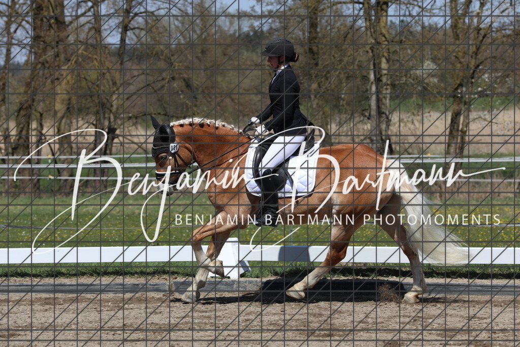 AZ2A4797 | Benjamin Bartmann Photomoments