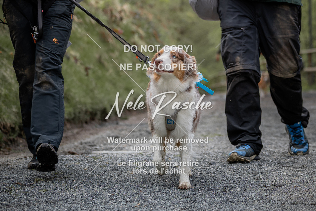 nelerasche_TheGame2026_SaCampEinlauf_101 | nelerasche