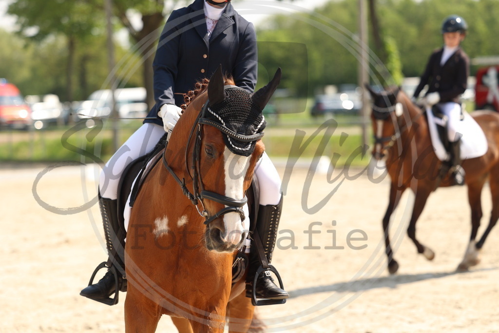 994A7305 | sabrinanicolaifotografie - Realisiert mit Pictrs.com