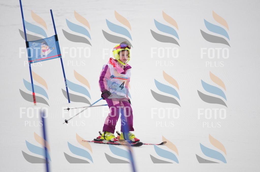 B9925 | holidayphoto