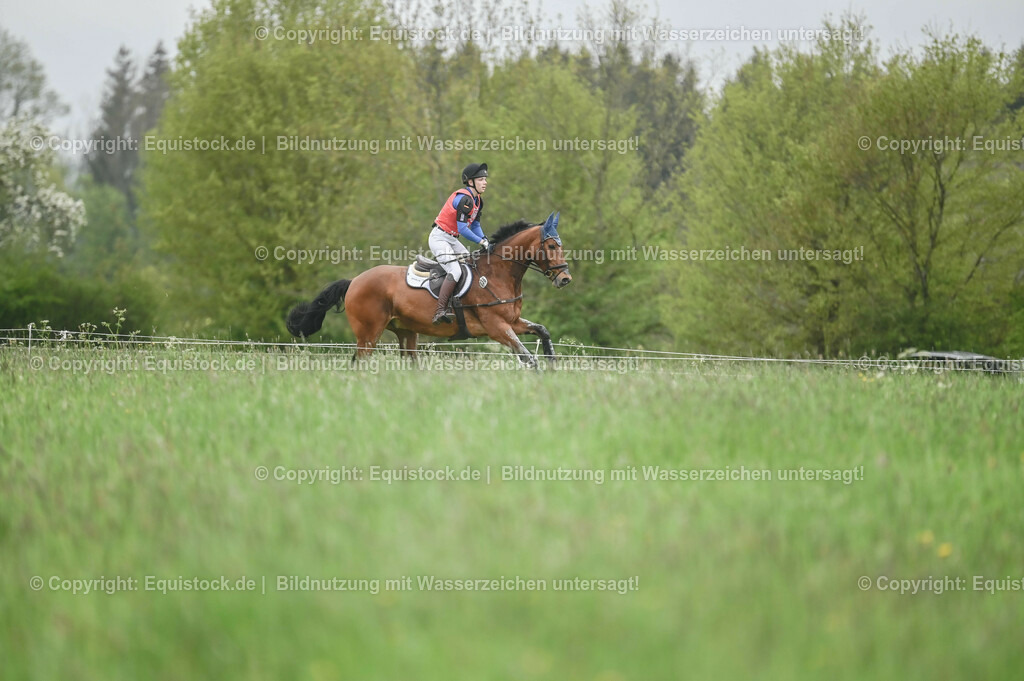 20230513_CCI2_Section1_0258 | equistock