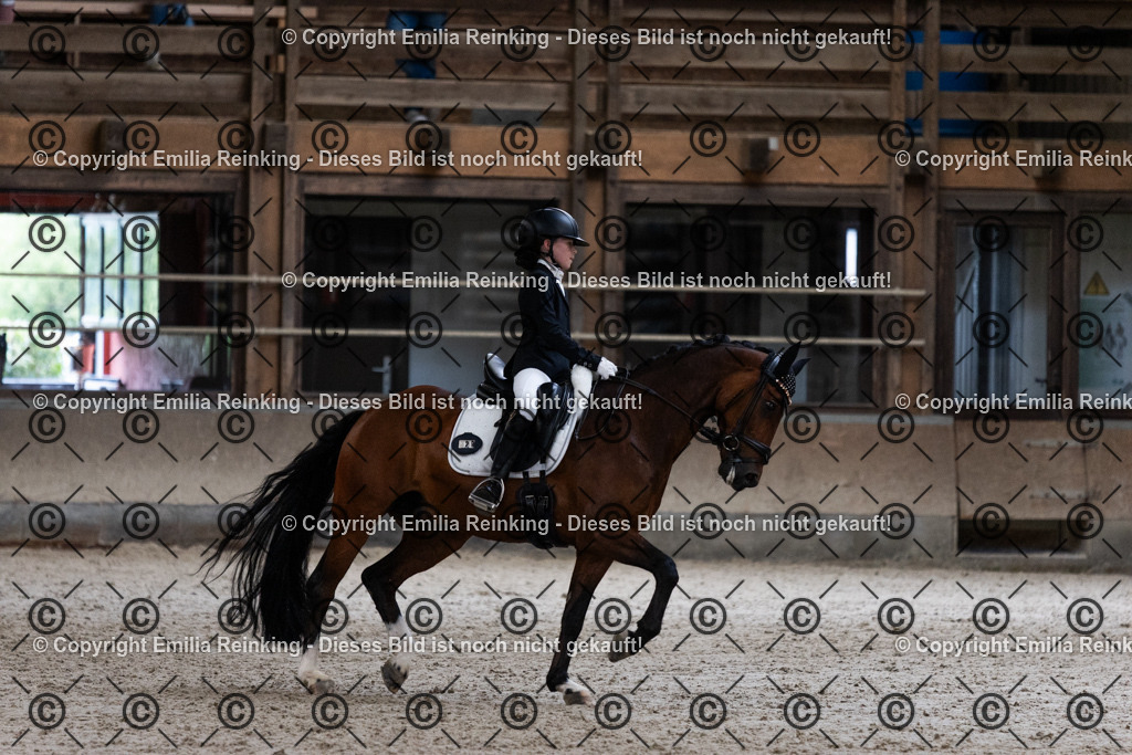 CL5A5060 | Emilia Reinking Fotografie - Realisiert mit Pictrs.com