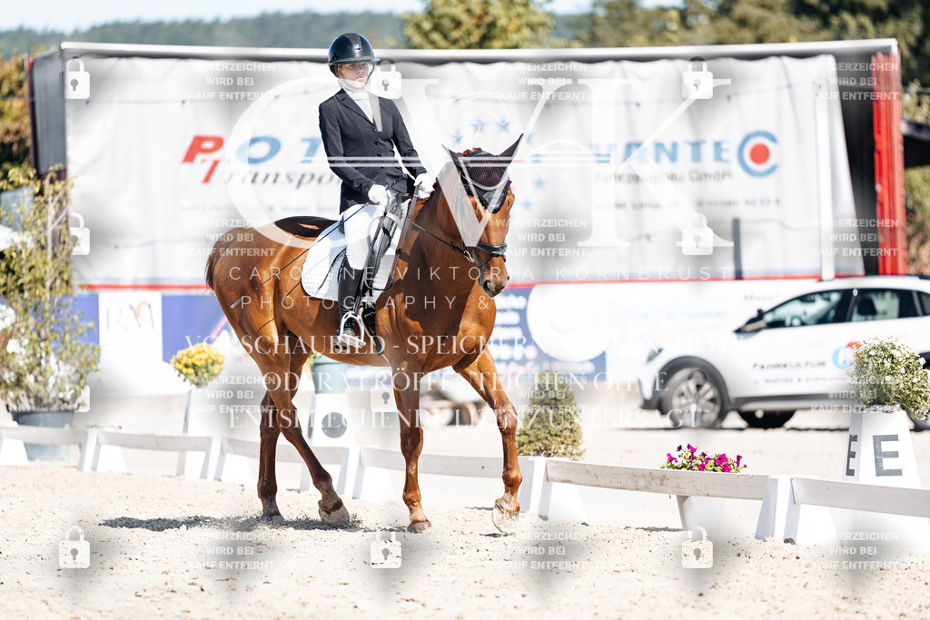 CK908637 | Turnierfotografie Pferdefotografie Trier Rheinland-Pfalz Pferdesport Reitsport Tierfotografie Sportfotografie Pferdevideo Pferdevideografie Equestrianvideography equestrianphotography  - Realisiert mit Pictrs.com