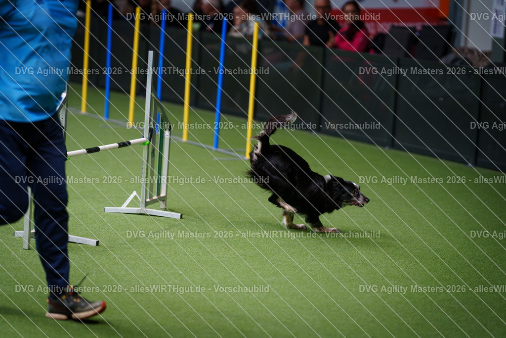 allesWIRTHgut_Tierfotografie-DVG_Agility_Masters_2026-10_36-7R504222 | Professionelle Tierfotografie in Mönchengladbach von Daniel Wirth (allesWIRTHgut). Liebevolle & natürliche Bilder von Hunden & Katzen für unvergessliche Erinnerungen.